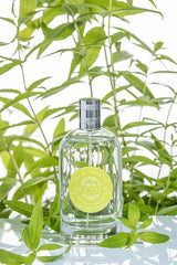 Eau de Toilette Eisenkraut 100 ml