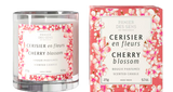 Duftkerze Kirschblüte 275 g