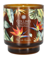 duftkerze in braunem glas von collines mit der duftnote fleur de paradis