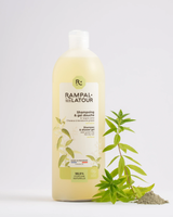 Dusch-Shampoo Tonerde-Eisenkraut 1 Liter