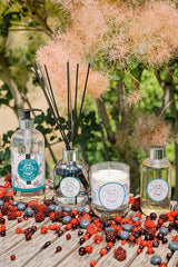 Refill Duftbouquet Köstliche Beeren 225 ml