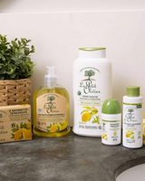 Refill Deo Roll-On Verveine-Zitrone 100 ml