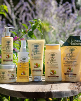 Creme für geschädigtes Haar Olive, Shea, Argan ohne Ausspülen 200 ml