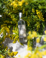 Raumspray Mimose 100 ml