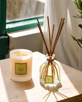 Collines de Provence Duftkerze und Raumduft Diffuser Verveine mit Duftstäbchen