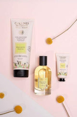 Collines de Provence Pflegeserie Frische Bergamotte mit Duschgel, Eau de Toilette und Handcreme, dekorativ arrangiert mit gelben Blüten.