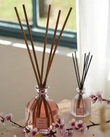 Collines de Provence Raumduft-Diffuser Rose & Hibiskus im Größenvergleich 500 ml und 100 ml mit Duftstäbchen und Blütendekoration
