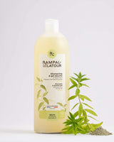 Rampal Latour Shampoo und Duschgel mit grüner Tonerde und Verbene für fettiges Haar