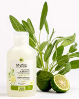 Rampal Latour Shampoo und Duschgel mit Salbei und Bergamotte neben Salbeiblättern und Bergamotte