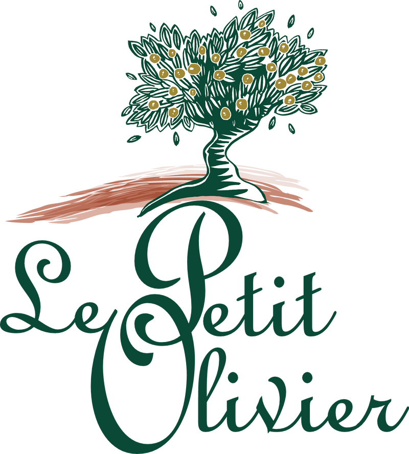 Spülung für coloriertes Haar Granatapfel & Arganöl 200 ml - Le Petit Olivier