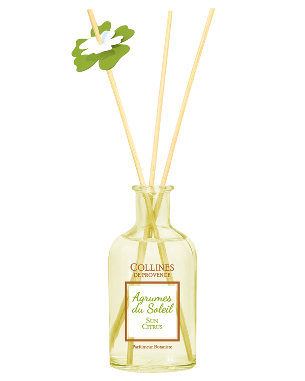 Duftbouquet Zitrusfrüchte 100 ml
