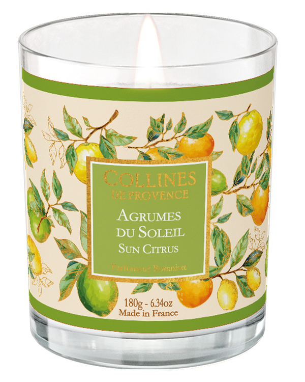 Duftkerze Zitrusfrüchte 180 g