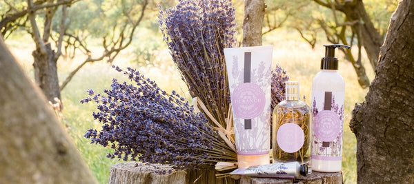 Duschgel Feiner Lavendel 200 ml