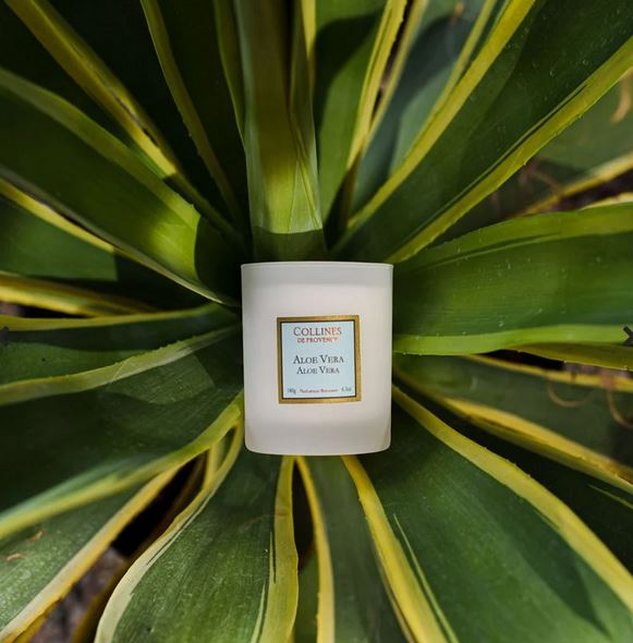 Duftkerze Aloe Vera 180 g