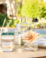 Holzduftblume Riviera Azur 100 ml
