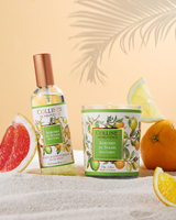 Raumspray Zitrusfrüchte 100 ml