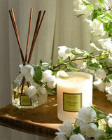 Collines de Provence Duftkerze und Raumduft Diffuser Verveine mit weißen Blüten
