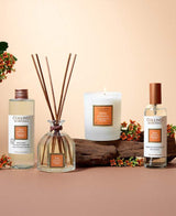 Collines de Provence Duftkollektion Sandelholzblüte mit Duftkerze, Duftdiffuser, Raumspray und Nachfüllung auf Holzelementen arrangiert