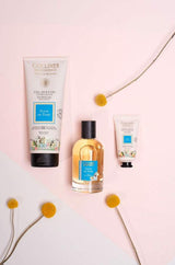 Collines de Provence Pflegeserie Tiaréblüte mit Duschgel, Eau de Toilette und Handcreme, dekorativ arrangiert mit gelben Blüten.