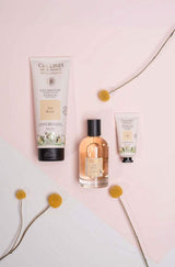 Collines de Provence Pflegeserie Weißer Tee mit Duschgel, Eau de Toilette und Handcreme, dekorativ arrangiert mit gelben Blüten.
