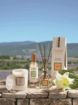 Collines de Provence Duftkerze, Raumspray und Duftdiffuser mit weißer Lilie auf einer Steinmauer vor einer Lavendellandschaft