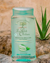 Le Petit Olivier Mizellen-Shampoo mit Aloe Vera und grünem Tee neben Aloe-Vera-Pflanze