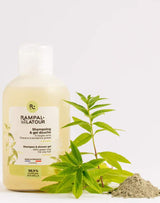 Rampal Latour Shampoo und Duschgel mit grüner Tonerde neben Verbene und grüner Tonerde