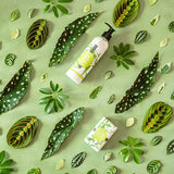 Bodylotion Eisenkraut 250 ml