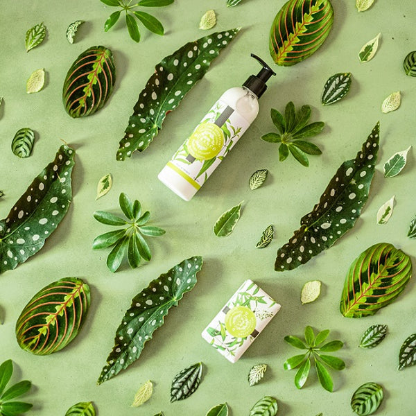 Bodylotion Eisenkraut 250 ml