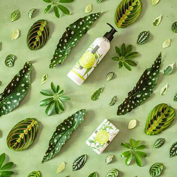 Bodylotion Eisenkraut 250 ml